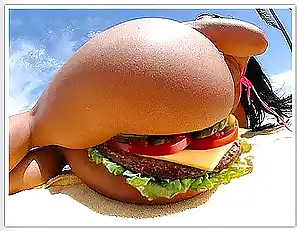 burger 1 photo