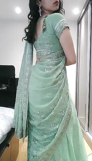 sari guide