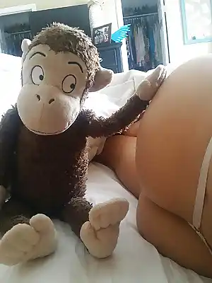 monkey 1 photo